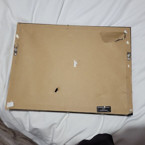 Butterfly wall art - Picture 8 of 9